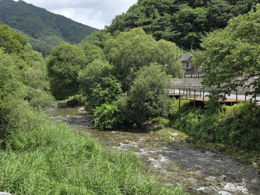 성황가든 사진 6