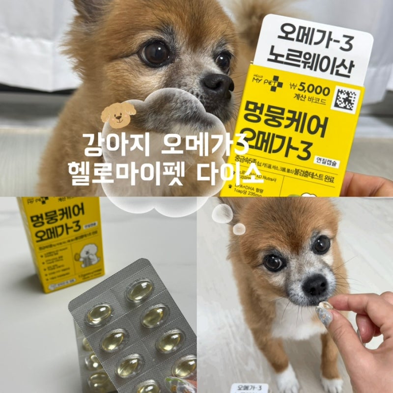 다이소추천템 헬로마이펫 멍뭉케어 오메가-3, 가성비 끝판왕 발견
