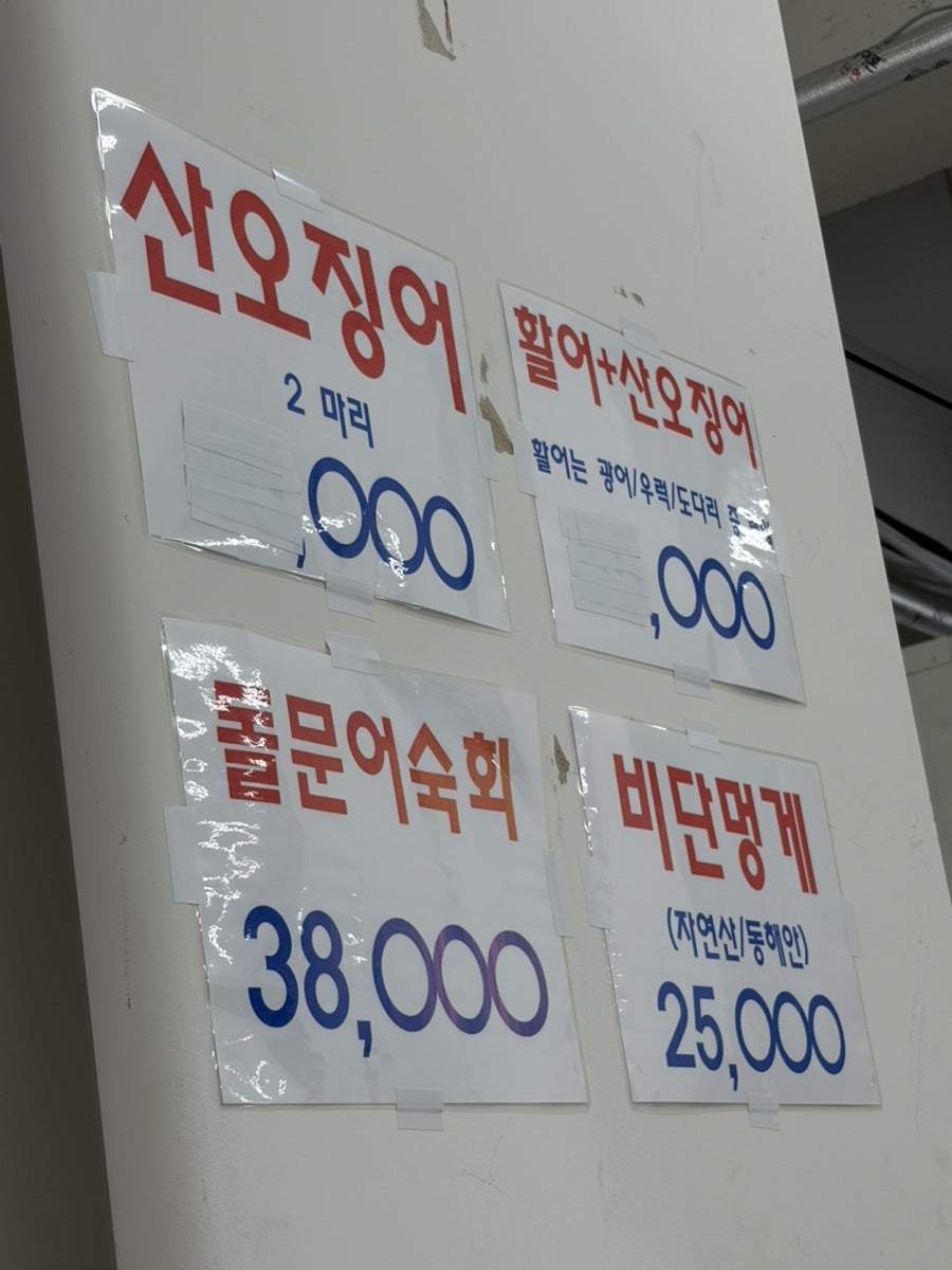 비단 사진 6