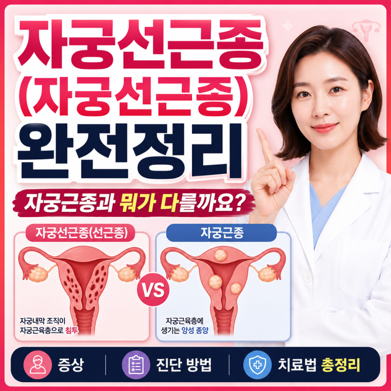 자궁선근종(자궁선근증) 완전정리 | 자궁근종과 뭐가 다를까요? 증상·치료법 총정리