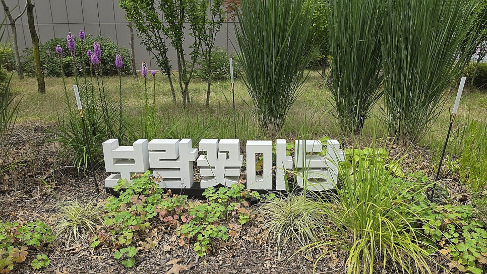 꽃마당 사진 3