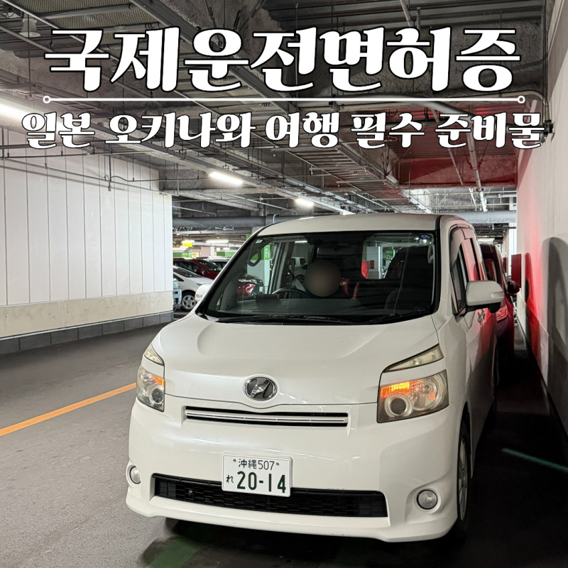 일본 오키나와 렌트카 필수ㅣ국제운전면허증 발급 방법 준비물부터 비용까지