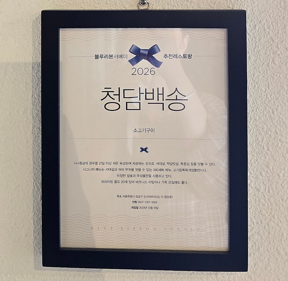 청담 백송 사진 2