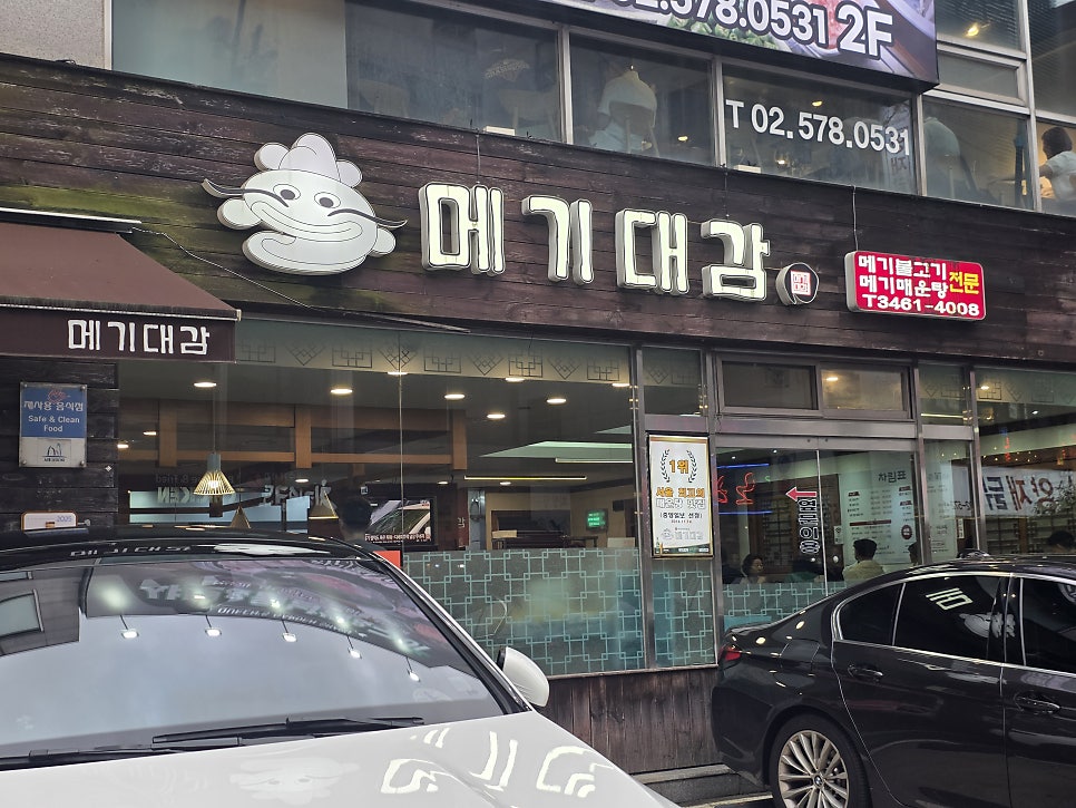 메기대감 사진 3