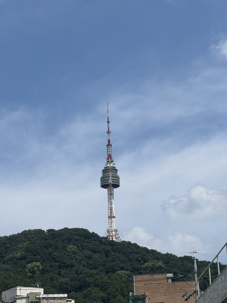 시엠프레꼬모도밍고 사진 2