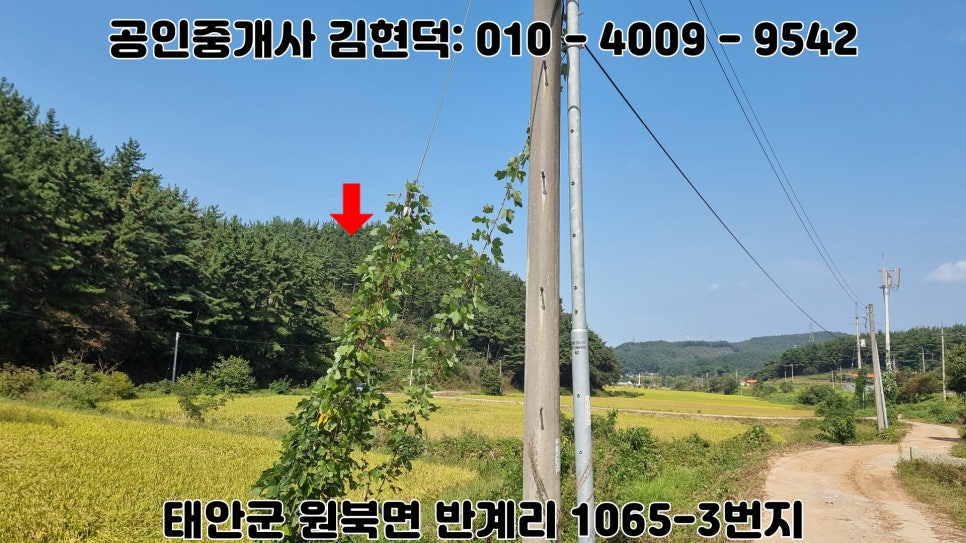 산골 사진 2