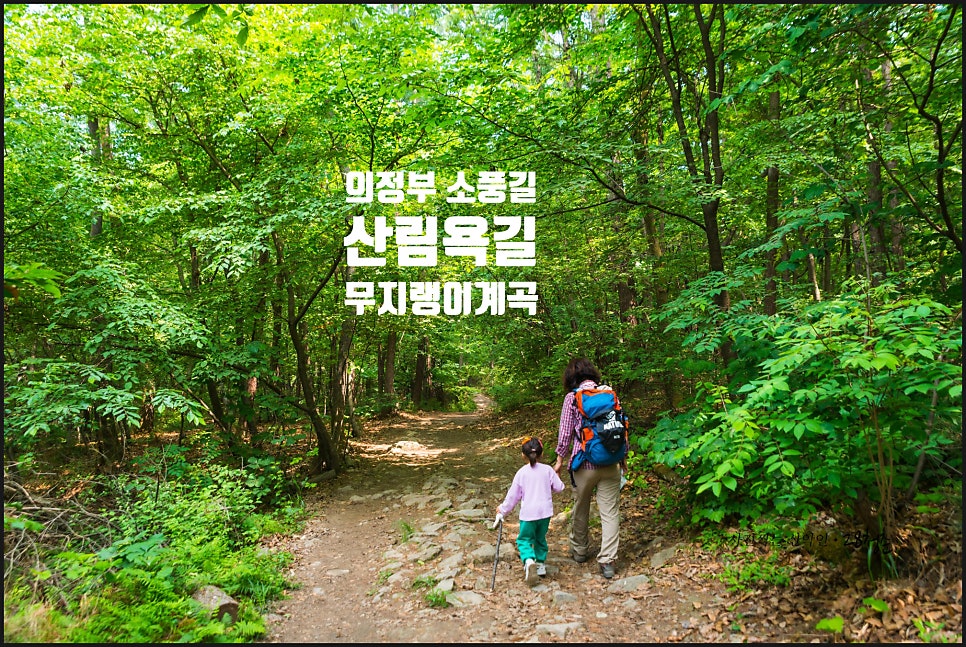 소풍 사진 2