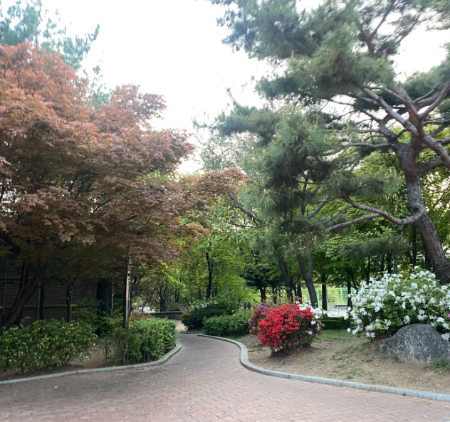 만월중식뷔페 사진 5