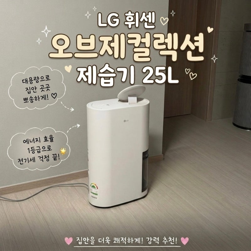 LG 휘센 오브제컬렉션 제습기 25L 내돈내산 후기｜거실 한 대로 집 전체가 뽀송!