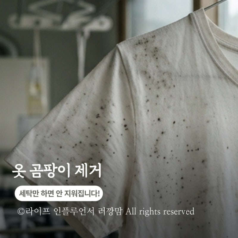 옷에 생긴 곰팡이, 세탁만 하면 안 지워집니다! 제대로 제거하는 방법