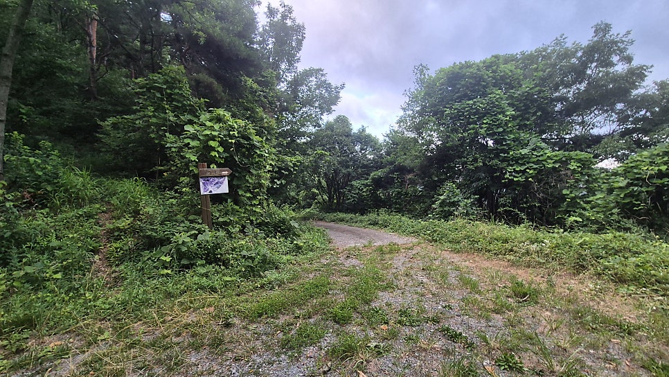 사룡산 사진 8