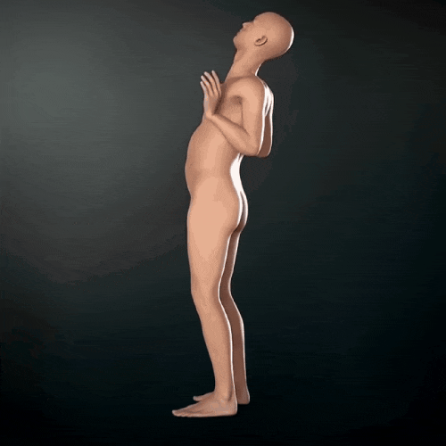 신전 동작 뜻 효과 방법, 척추의 신 정선근 교수 영상, 맥켄지 운동