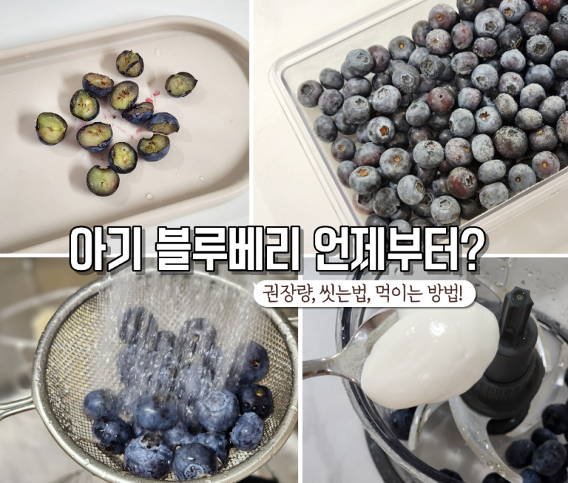 아기 간식 블루베리 언제부터? 권장량, 먹이는 방법! (아기 블루베리요거트!)
