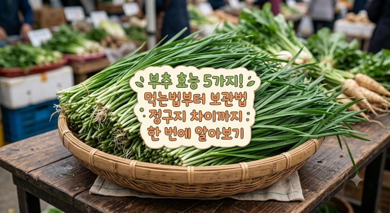 부추 효능 5가지! 먹는법부터 보관법 정구지 차이까지 한 번에 알아보기