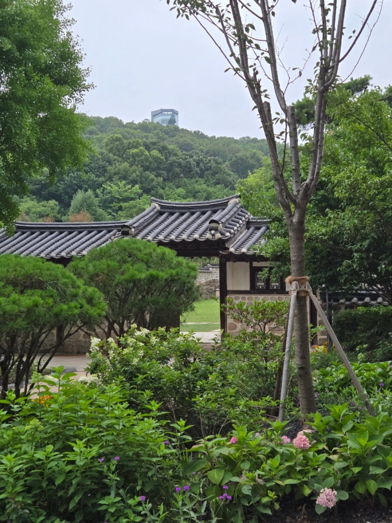 한적하고 시원한 북서울꿈의숲, 6개월 아기랑 산책