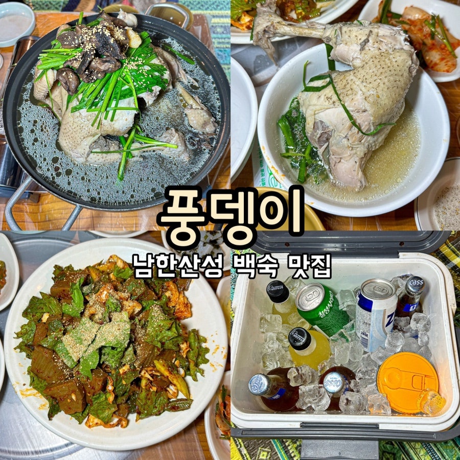 풍뎅이 사진 1