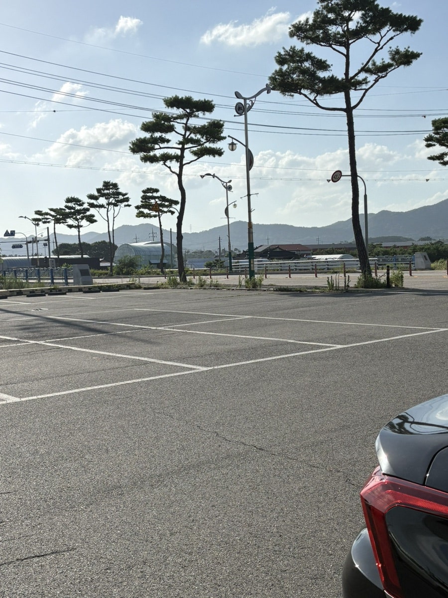 오성장어 사진 2