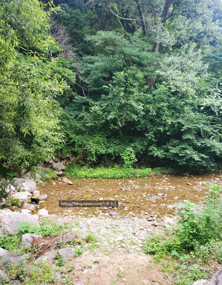용추계곡유원지펜션 사진 2