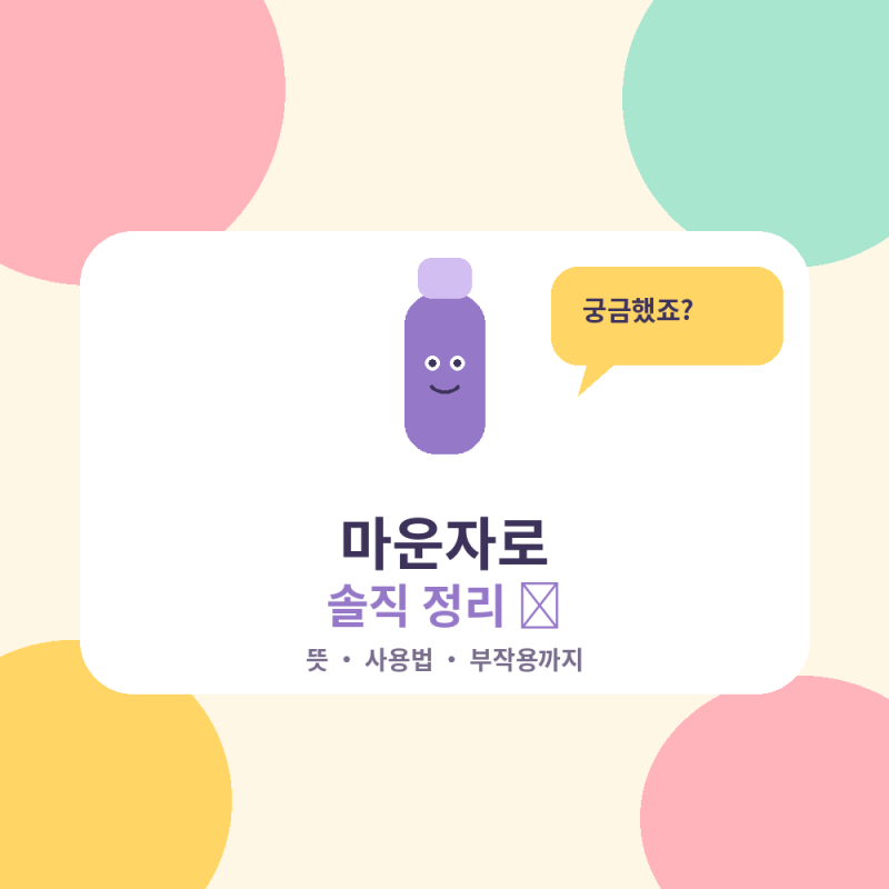 마운자로 솔직 정리