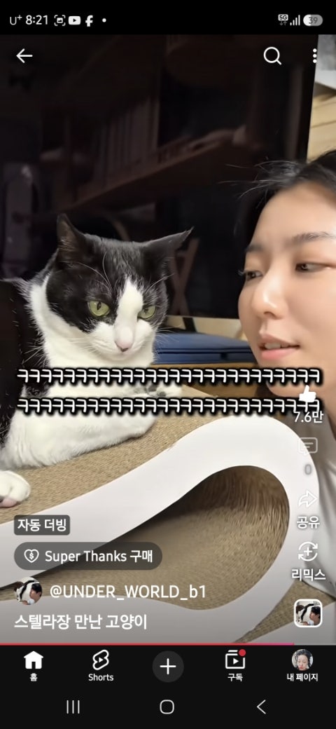 두꺼비포차 사진 2