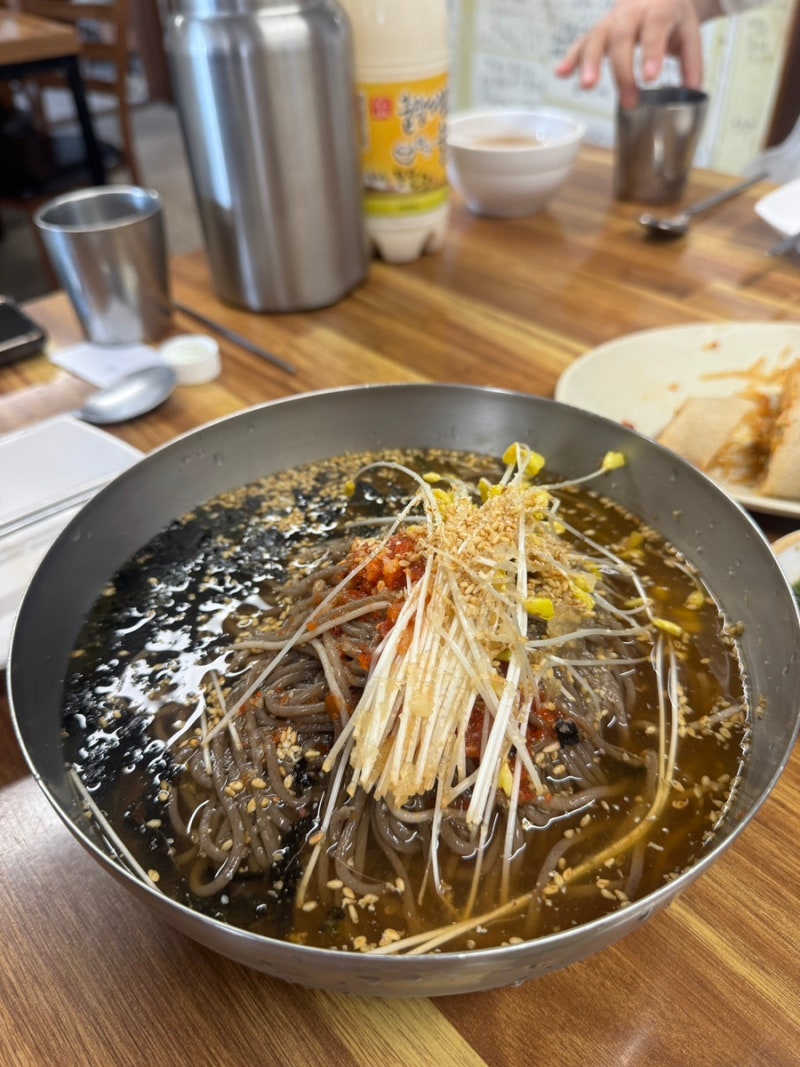 평창 애견동반 맛집 추천, 강아지와 함께 다녀온 봉평현대막국수 후기