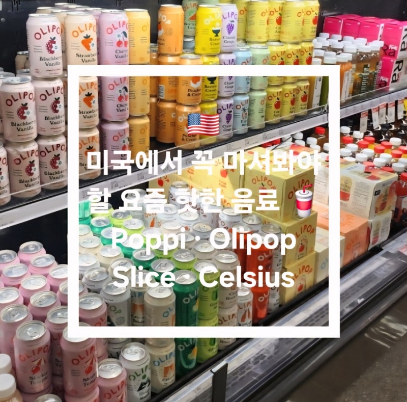 미국 마트 추천템 미국에서 꼭 마셔봐야 할 요즘 핫한 음료 4가지 (Poppi·Olipop·Slice·Celsius 후....