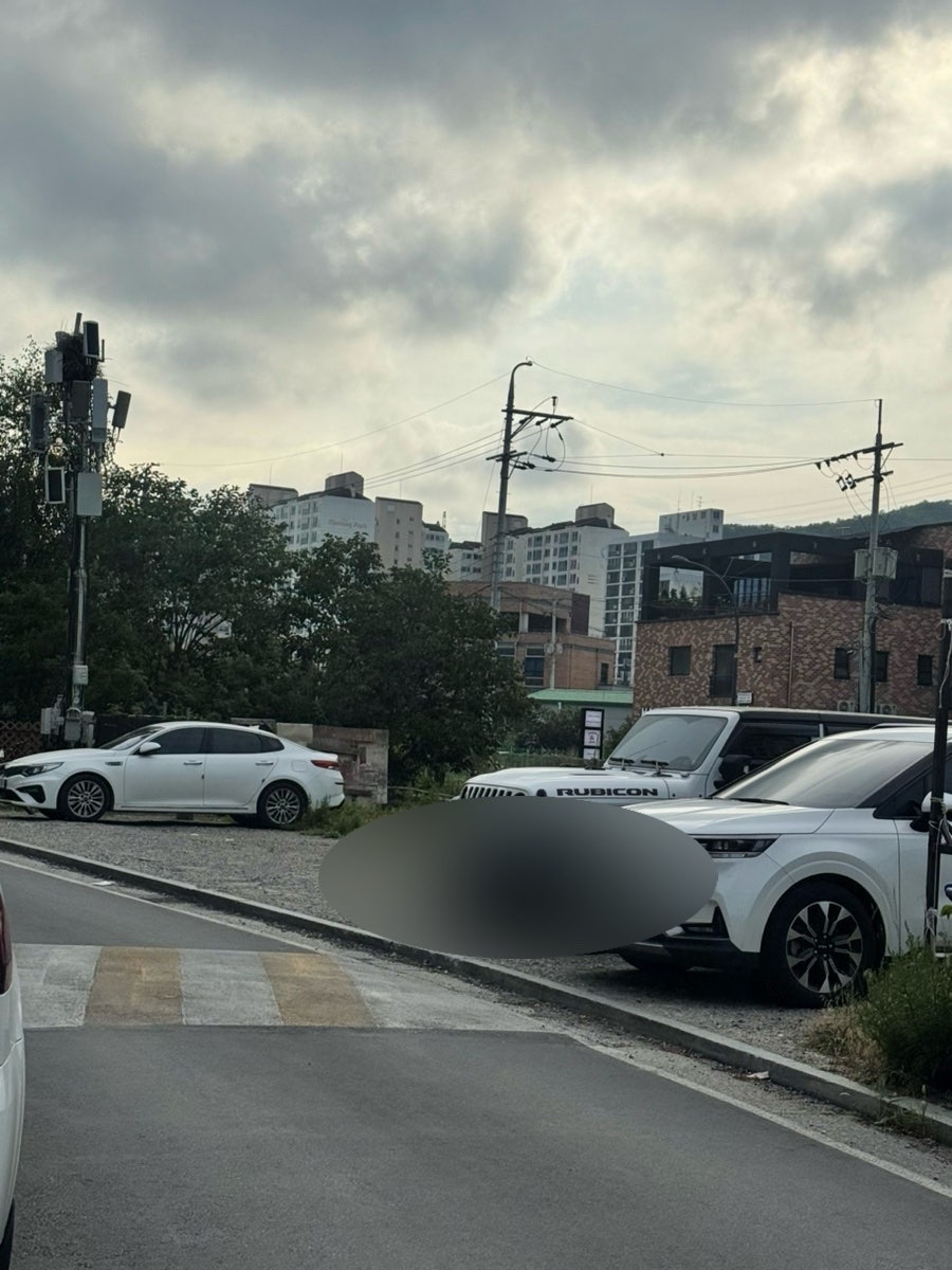 숯향 사진 3