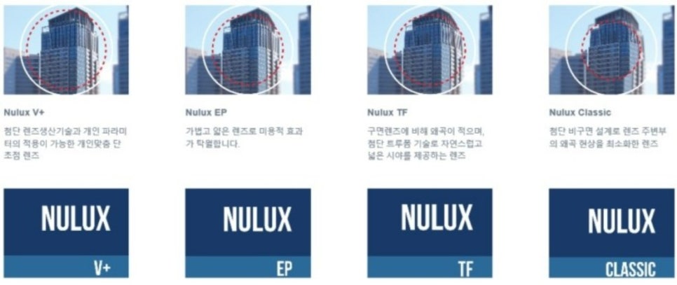 호야 사진 3