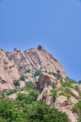 벚꽃식당 사진 4
