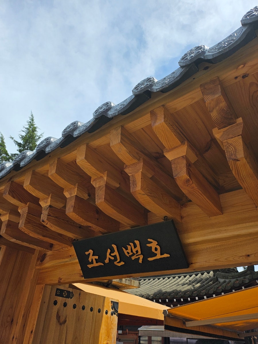 조선백호 사진 1