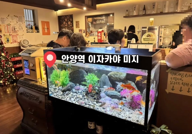 안양역 이자카야 미지 주말 예약 필수, 안주와 서비스까지 만족