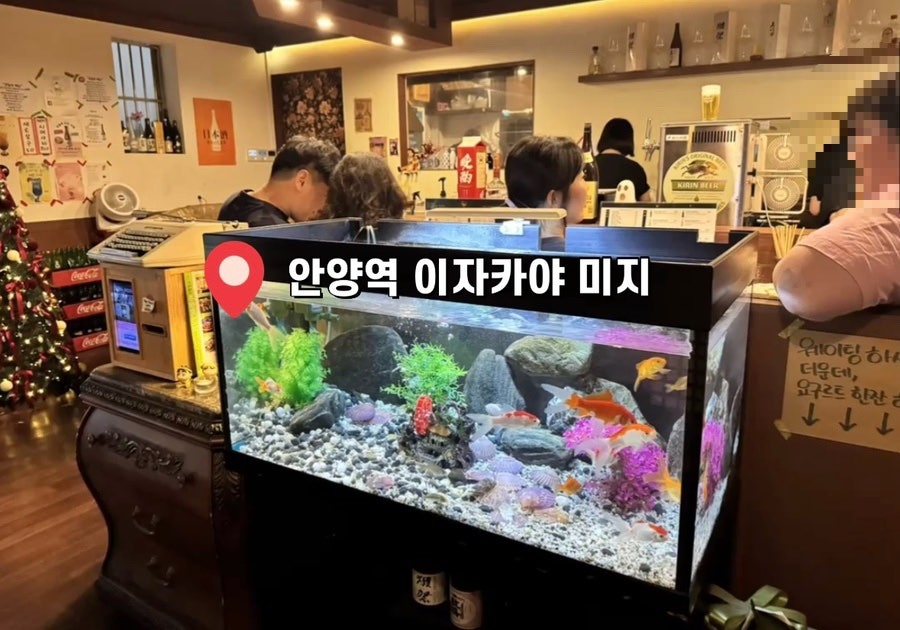미지 사진 1