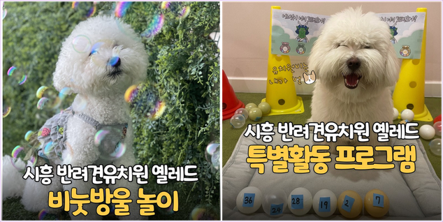 초밥광 시흥 은계호수점 사진 3