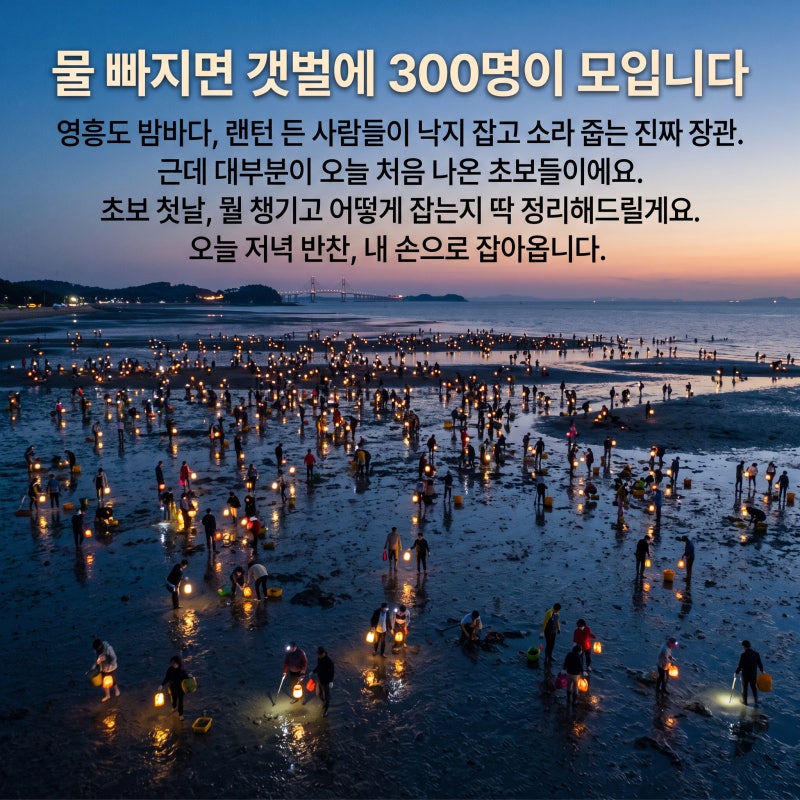 영흥도 해루질 초보 첫날, 낙지 소라 잡는 법 총정리