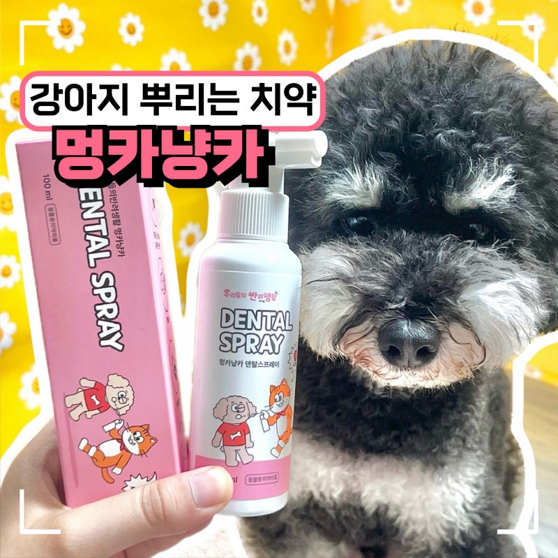 강아지 고양이 치석 제거 뿌리는 치약, 우리들의반려생활 덴탈스프레이 일주일 사용기