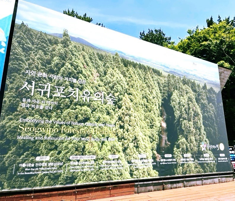 노고록 사진 2