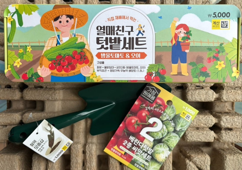 [다이소 방울토마토 키우기] 5천원 재배, 5일차 근황(심는 방법 및 꿀팁)