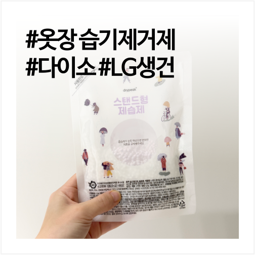 옷장 제습제 급하게 사기 좋은 다이소와 홈스타 두 가지 사용기