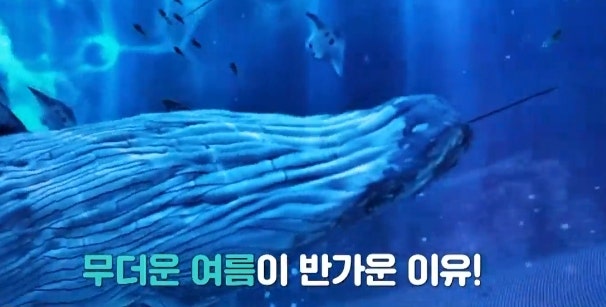 먹고또먹고 사진 2