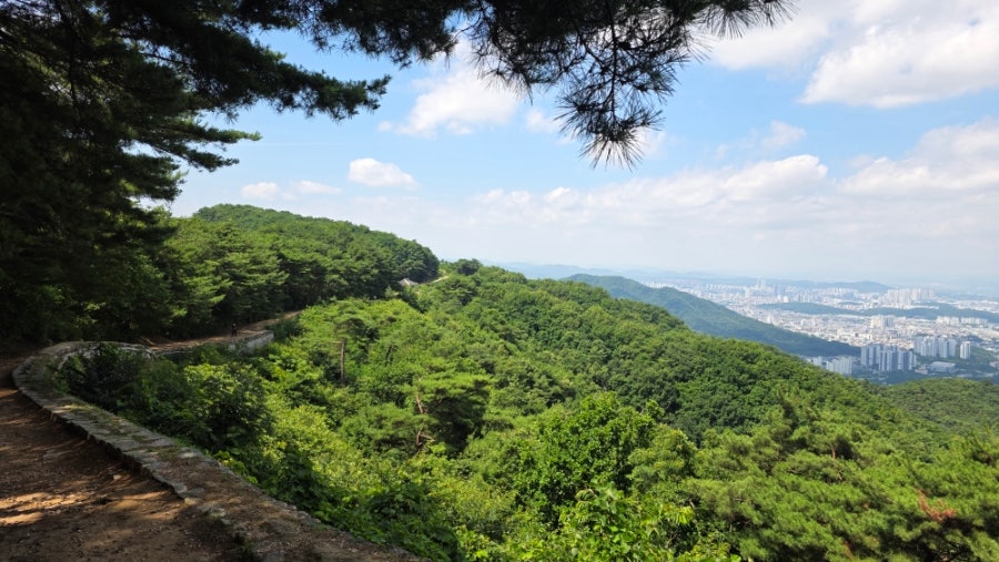 망산 사진 3