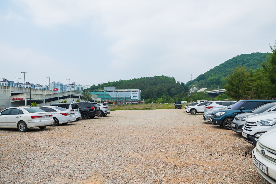 소풍 사진 6