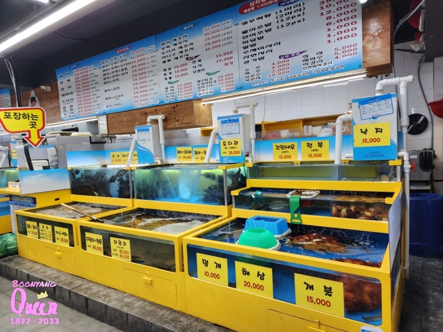 싱싱동암어시장 사진 3