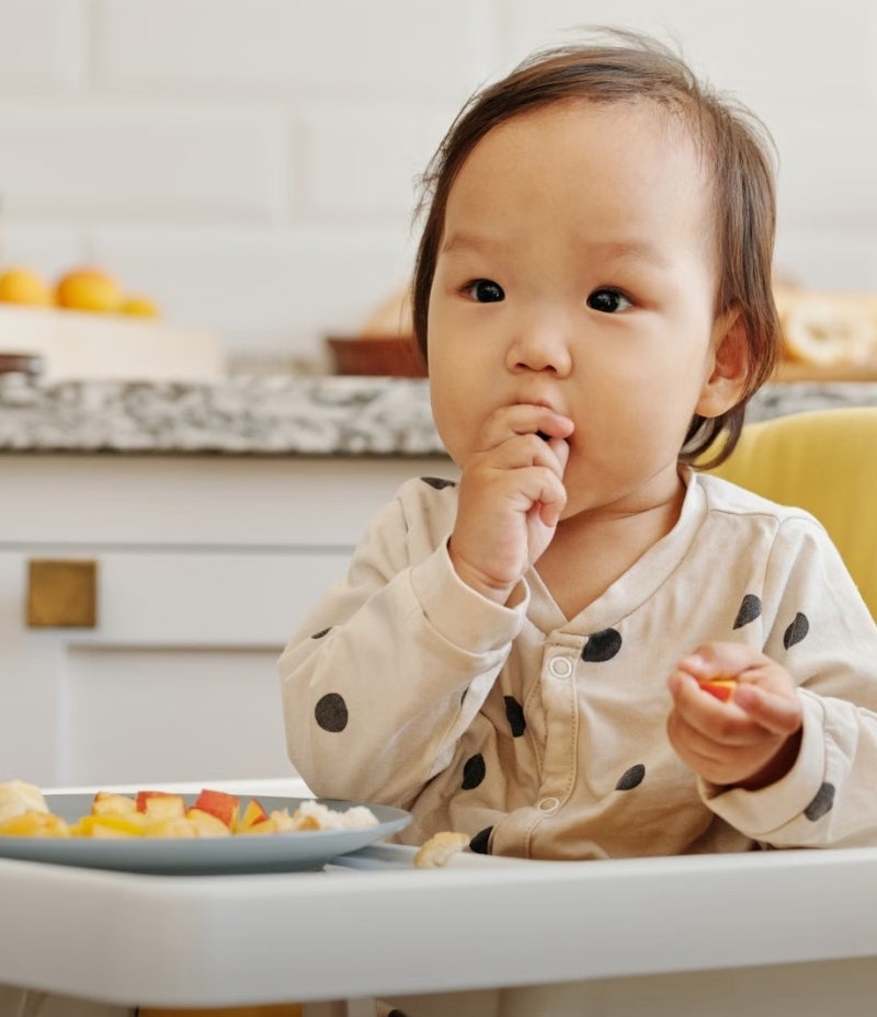 돌아기 밥양 얼마나 먹어야 할까? 12개월-18개월 적정 식사량 총정리