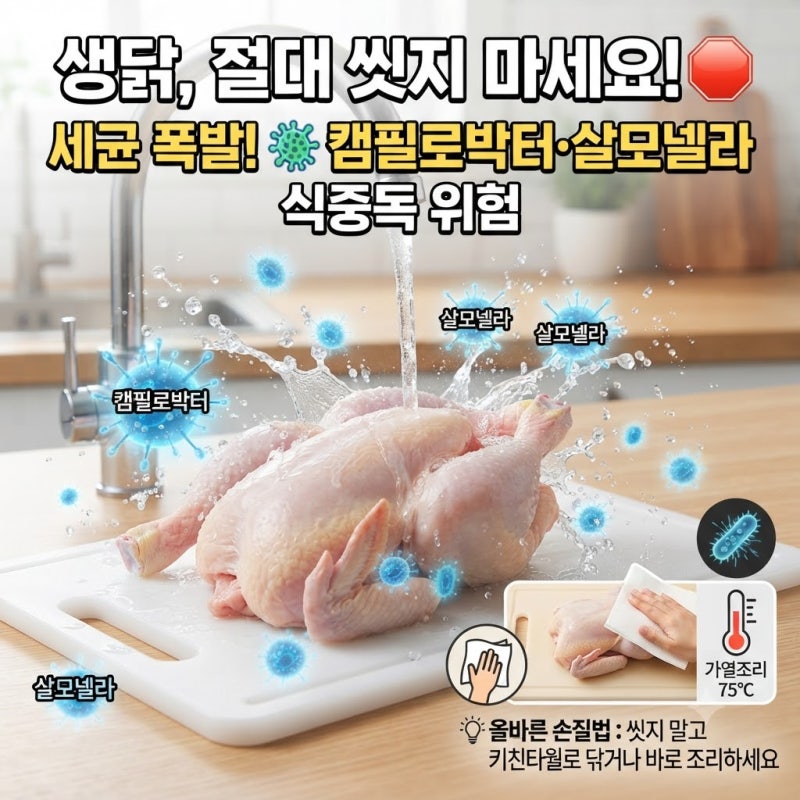 생닭 물에 씻으면 안 되는 이유｜캠필로박터·살모넬라 식중독 위험과 올바른 닭고기 손질법