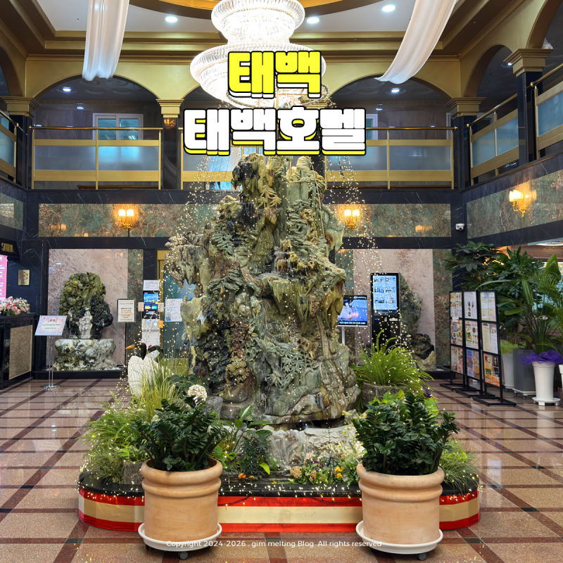 태백 숙소 추천 태백 호텔 사우나 및 조식 후기