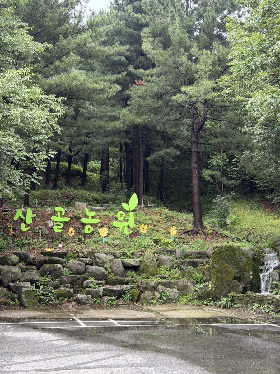 Gapyeongsotttukkeongmannandak photo 1