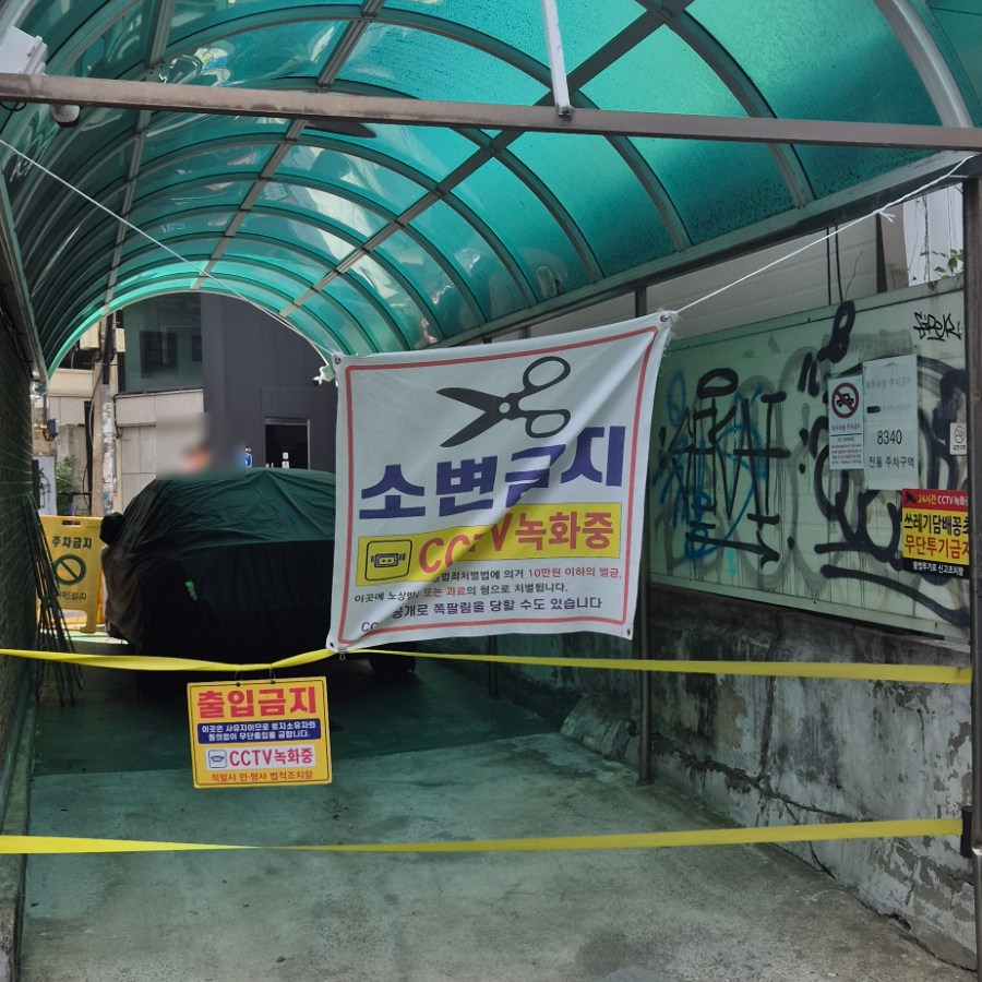 로트 사진 3