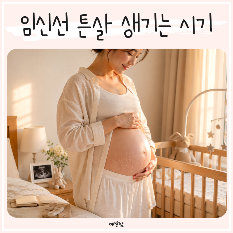 임산부 임신선 생기는 시기 흰튼살 붉은튼살 없애는법 오일 관리까지