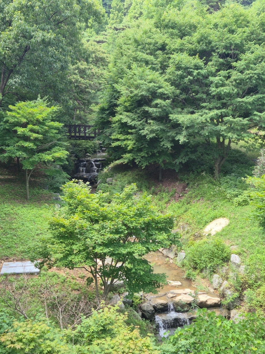 봉수산수목원 곤충생태관 사진 3