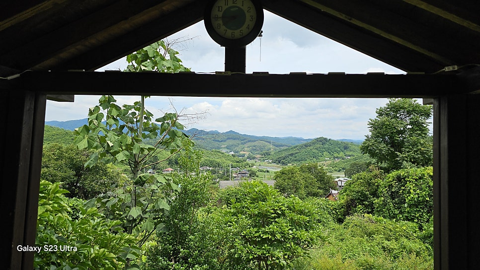 마중 사진 6